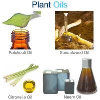 essential aromatic oil