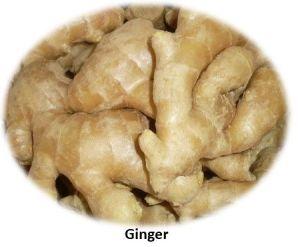 Fresh Ginger