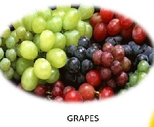 Fresh Grapes