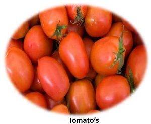 Fresh Tomato