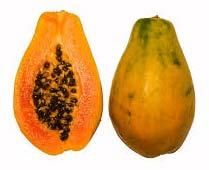 Fresh Papaya