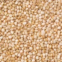 Quinoa Seeds