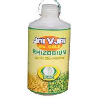 Rhizobium Biofertilizers