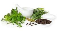 natural herbal supplement