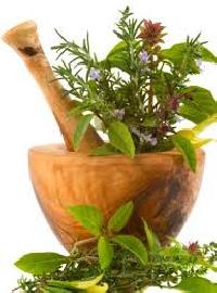 medicinal herbal plants