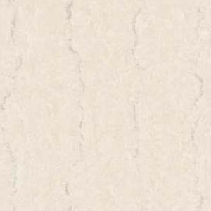 Soluble Salt Polished Vitrified Tiles