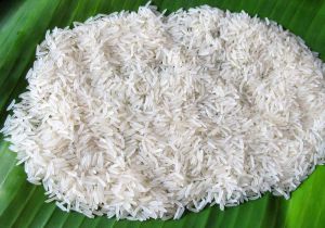 Pusa 1121 White Rice