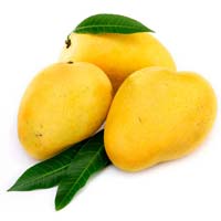 Fresh Mango