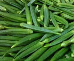 Okra Vegetable