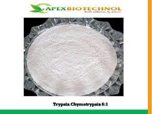 Trypsin Chymotrypsin