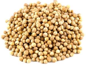 Coriander Seeds