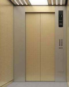 Auto Door Elevator