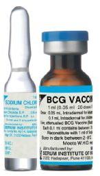 bcg vaccine