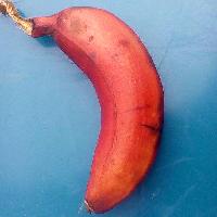 Red Banana