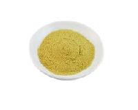 apple extract powder