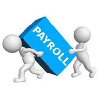 payroll solution