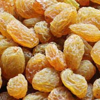 Brown Dried Grapes