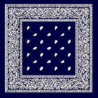 paisley bandana