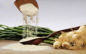 Spray Dried Spring onion Powder