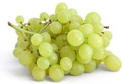 Fresh Grapes