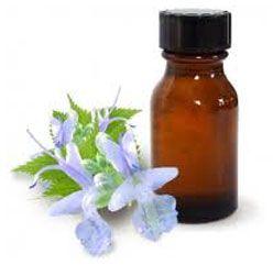 Patchouli Oil, Pogostem Oncablin