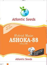 Ashoka-88 Hybrid Yellow Maize Seeds