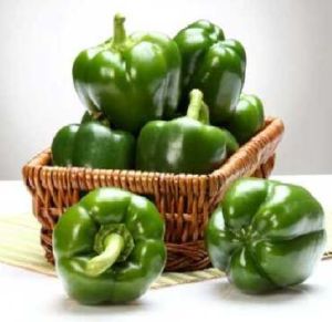 Hybrid Capsicum Seeds