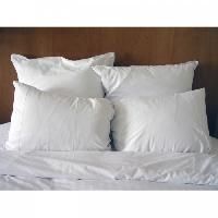 Bed Pillows