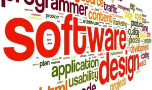 Software Development Services