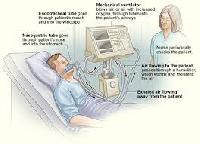 Cutomised Advance Biomedical Electronics R & D