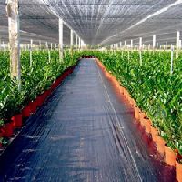 pp woven ground cover