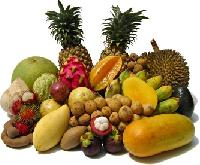 Tropical Fruits