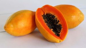 Fresh Papaya