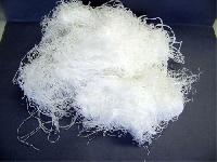 Polyester Fiber