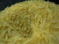 1121 golden rice