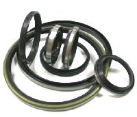 Wiper Seals