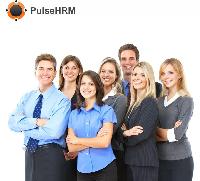 PulseHRM HRMS Software