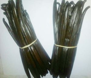 Vanilla Beans