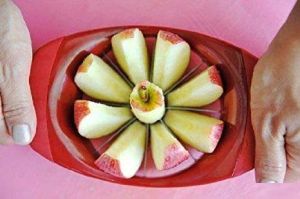 Apple Cutter