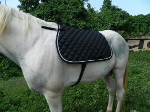 VE-SP-003 Horse Saddle Pad