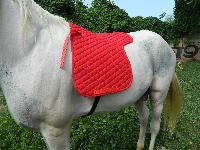 VE-SP-006 Horse Saddle Pad