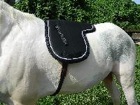 VE-SP-012 Horse Saddle Pad