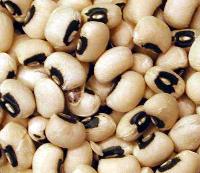 black eyed pea