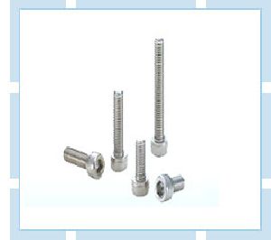 Stainless Steel Nuts