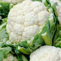 Fresh Cauliflower