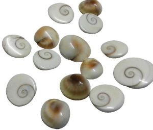 Shiva Eye Cabochons