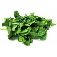 Fresh Spinach Leaves