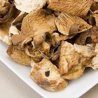 oyster dry mushroom