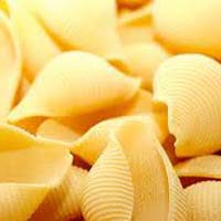 Shell Pasta