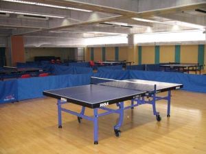 Table Tennis Wooden Floorings